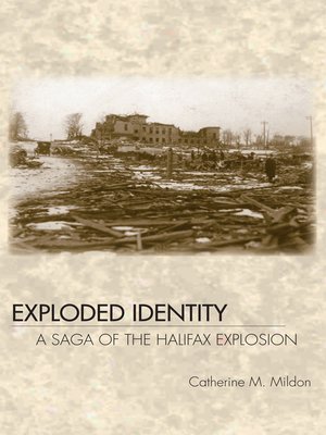 cover image of Exploded Identity